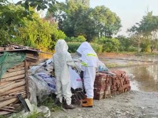 马蜂窝威胁住户安全 宣城消防成功摘除