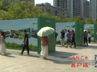 十堰举行生物多样性保护主题展