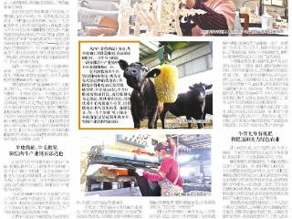 好山东|牛肉上餐桌牛皮做靴牛毛做笔，阳信牛产业“超级牛”