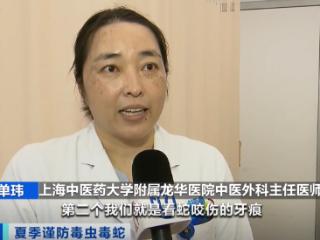 上海医院接诊蛇咬伤事件增多，如何辨别是否为毒蛇所咬