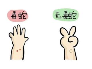 淄博市自然疫源性疾病定点医院名单来了，附科学处置方法，请收好