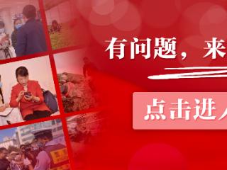 【天眼问政·追踪】贵阳未来方舟绿化带狗棚已拆