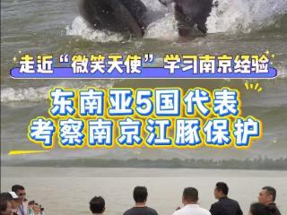 走近“微笑天使” 学习南京经验 | 东南亚5国代表考察南京江豚保护
