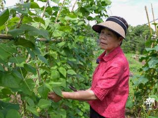 潮声视频丨菜地直通饭桌：宁波老人的养老“新食代”