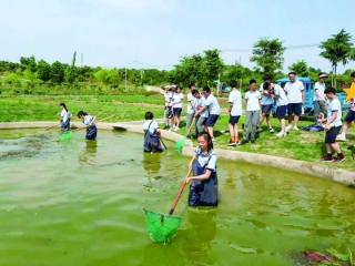 田间实践 收获知识