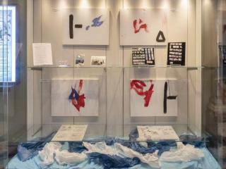 海豚绘画：一场关于创造力、生态意识与跨物种对话的策展实践