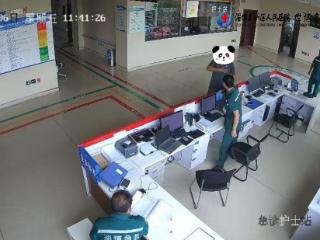 19 分钟！淄博世博高新医院急诊上演 “心” 跳救援