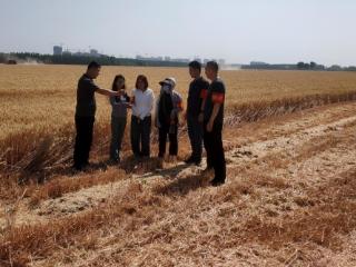 济宁市任城区李营街道纪检监察工委：监督护航春耕 助力乡村振兴