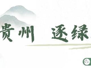【我在喀斯特无人区③】“最隐蔽”的安全归途——廊道设计充满巧思和智慧