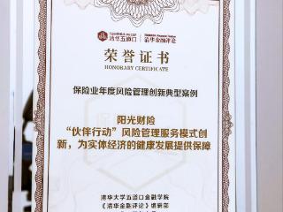 阳光财险“伙伴行动”风险管理服务模式获评保险业年度风险管理创新典型案例