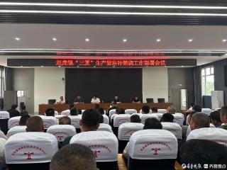 德州天衢新区赵虎镇：抢收抢种同推进，筑牢“三夏”生产防线