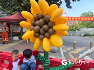 【直击高考】巨型向日葵 给考完试的舅舅一个惊喜