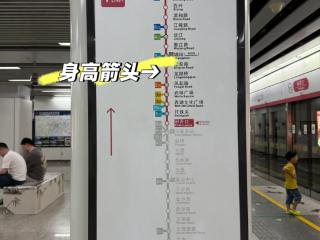 杭州地铁站突然火了！不少年轻人涌入站内：“我身高到凤起路了！”