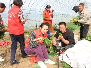 2025泰安好网民|东平县总工会直播带货志愿服务队：数智赋能乡村振兴 志愿架起共富桥梁