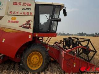 临沂沂河新区智能化无人收获机助力百亩试验田小麦颗粒归仓