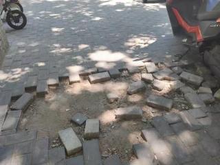 小8跑街丨东站路人行道地砖破损严重 行人通行存隐患