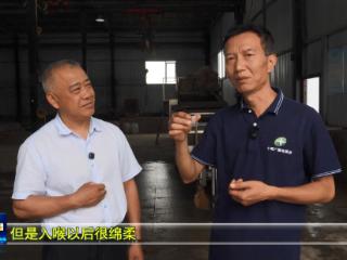 郧阳区琵琶滩村：发展特色产业 激发乡村振兴活力
