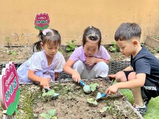 邢台市襄都区第二幼儿园：萌娃解锁农耕与民俗之趣