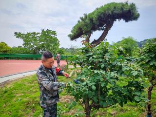 武当山护林防火大队开展夏季绿化管护 打造清爽旅游环境