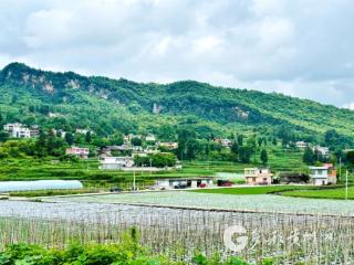 习水：种养循环实现粪污的绿色新生