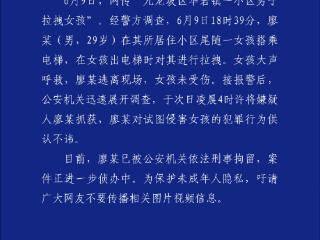 重庆警方通报“男子尾随女孩搭乘电梯”：29岁男子试图侵害女孩 已被刑拘