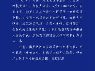 男子尾随女童进小区电梯试图侵害，警方通报