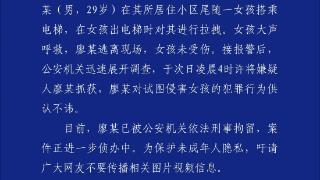 男子尾随女童进小区电梯试图侵害，警方通报