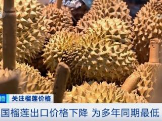 降！降！降！榴莲多年来最低价的背后是这些原因