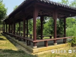 热浪袭人，德州沙王河公园打造清凉秘境