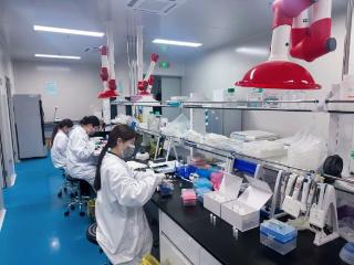 苏州黄埭镇：优质项目加速生物医药产业能级跃升