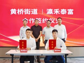 明“珠”璀璨！TTF AI珠宝设计项目落户黄桥