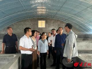 潍坊滨海区大家洼街道创新“两代表一委员”履职模式