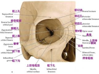 从“眼肿”到“看东西重影”—外伤后别拖延小心眼眶骨折留后遗症