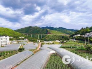 习水：东西协作赋能黄金湾蔬菜基地“焕新”