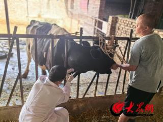 菏泽鲁西新区农业农村发展局开展春季重大动物疫病抗体监测采样工作