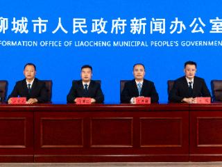 聊城市三支柱养老保险体系已搭建完成