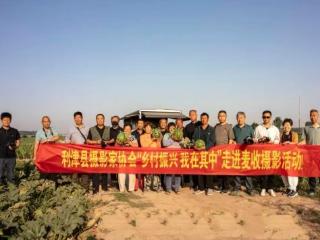 利津县摄影家协会：麦田奏响丰收歌 镜头扑捉欢乐景