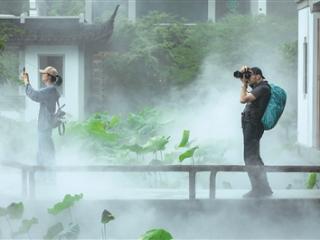 西湖这处“人间仙境”你去打卡了吗？