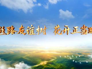 大道之行丨丝路友谊树 花开正当时