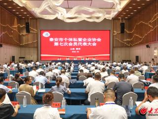 泰安市个体私营企业协会第七次会员代表大会召开