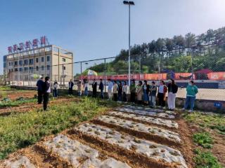 四川苍溪县：创新实施“三色淬炼”工程 加快培育狮子型青年干部