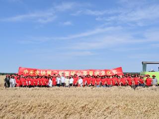 中禾农场第二届富硒小麦夏收文化节启幕