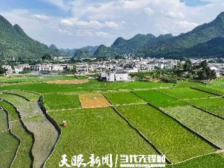 贵州兴义：夏日田园风景如画