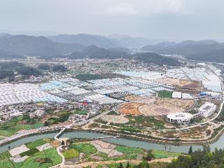 龙里县园区村：科技大棚里的“万元田”