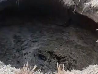 山东菏泽一农田突现大坑被传有古墓？属地回应：系老井，无古墓迹象，已回填