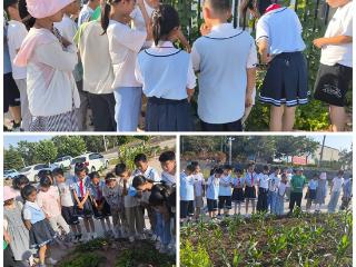 莒南县第二小学开展蔬菜研学活动
