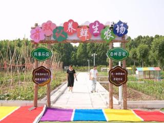 乡村活力新密码，济宁市任城区田园新业态收获好“丰”景