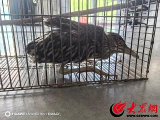 东阿公安：暖心少年护鹭记，让我们为三位同学点赞!