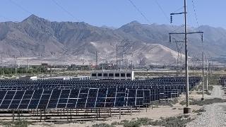 青岛援藏妙笔“青”“清”，绘就高原产业新图景