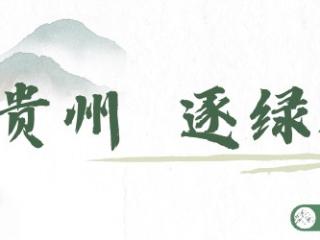 【绿色发展】百里杜鹃游客突破千万，“地球彩带”书写康养新篇